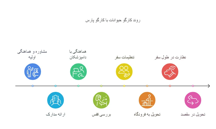 روند ارسال حیوان خانگی با کارگوپارس